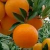 user3537143482081jemalab