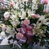 mimishop864