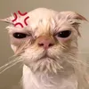 ketiakmasamn