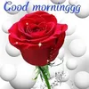 user50jzoh59bo