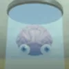 anhtnghong8