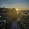 nicolalaae