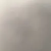 aliciaferegrino2