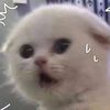 rj__.77