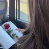 sulav_mira