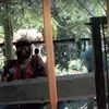 martindiego721