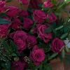rihambeshr77