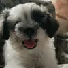 xyriel_178