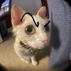 nazok_02