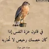 user4771853186608