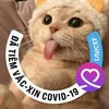 userqxamzsg1y4