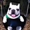 theoneandonlyduggy