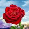 user2561438199334