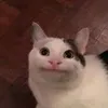 darf.der.kevin.kommen