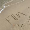 wsnfida