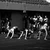 emavorackova