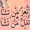 muzamaljutt725