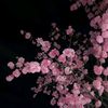 zeinab.mahmoud19