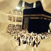 emanbelkhir981