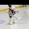 hockey_goalie33