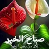user600183591881