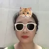 qun.i.tt.c25