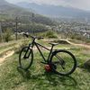 downhillmember