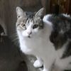 yanet.elizabeth10