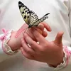 iqqu_55