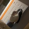 dania_thebixh