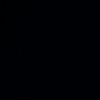 f_.2007_._