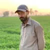 saleem100064