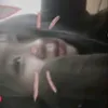 elmiuu3