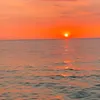 azsiram_20