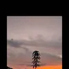 eirfa_