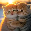 elindz_298