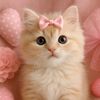 kittycute0207