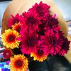 petals_and_aesthetics