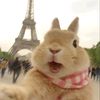 nasya_vqy3116