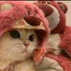 zeaa_1712