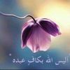 mohamedallam7010