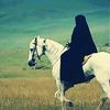 mahimaher666