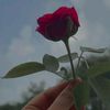 ms_mim122