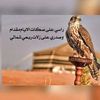 user7351260081886