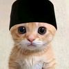 userjx3uo5l7mi