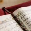 benchakrounebadr