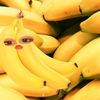 erlna1