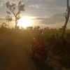arif_pal