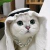 _hanzz99