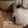 cooking_rats